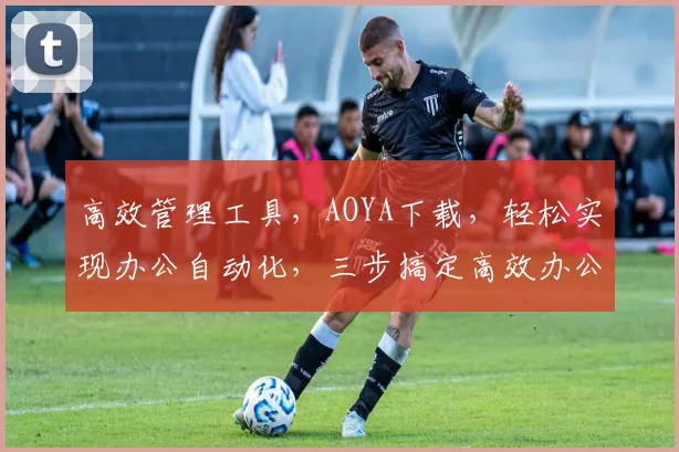 高效管理工具，AOYA下载，轻松实现办公自动化，三步搞定高效办公，不容错过