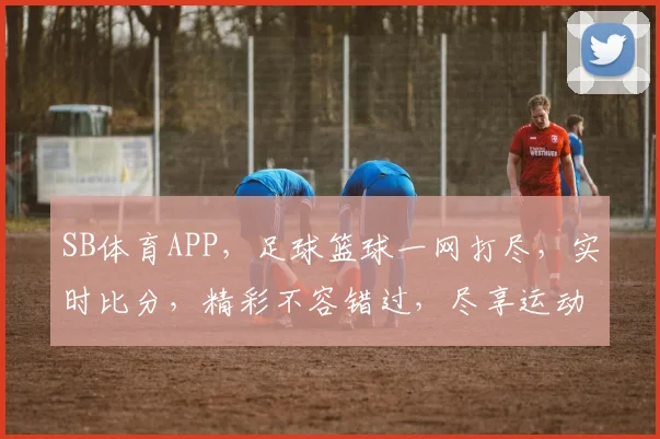 SB体育APP，足球篮球一网打尽，实时比分，精彩不容错过，尽享运动激情