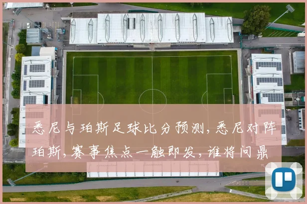 悉尼与珀斯足球比分预测,悉尼对阵珀斯,赛事焦点一触即发,谁将问鼎巅峰