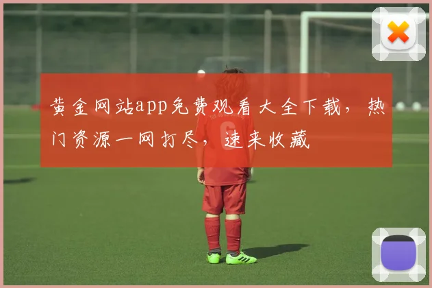 黄金网站app免费观看大全下载，热门资源一网打尽，速来收藏